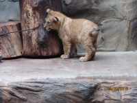 IMG_2043.jpg, 25kB